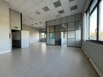 Foto 3 de 