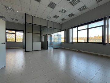 Foto 4 de 