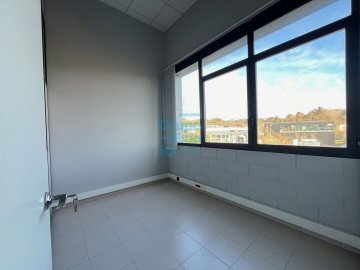 Foto 5 de 