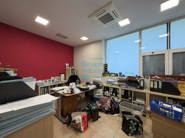 Foto 7 de 