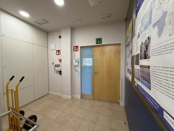 Foto 8 de 