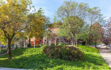 Foto 6 de Oportunidad única en Intxaurrondo! Local a la venta por solo 48.000 €