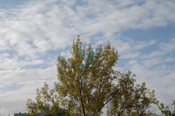 Foto 62 de Villa en Urbanizacion Montesol