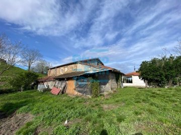 Foto 10 de Zestoa - Ibañarrieta