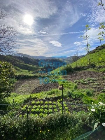 Foto 11 de Zestoa - Ibañarrieta