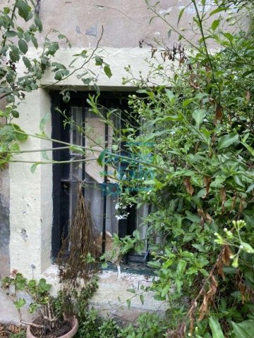 Foto 40 de Zestoa - Ibañarrieta