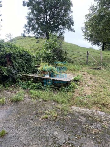 Foto 61 de Zestoa - Ibañarrieta