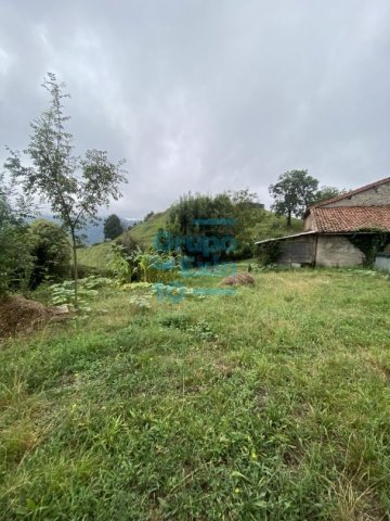 Foto 65 de Zestoa - Ibañarrieta