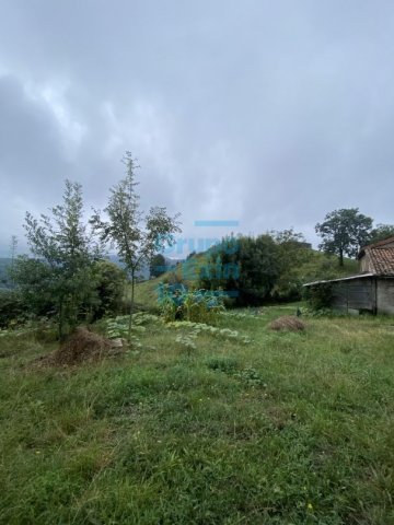 Foto 66 de Zestoa - Ibañarrieta