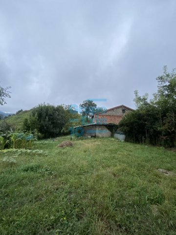 Foto 67 de Zestoa - Ibañarrieta