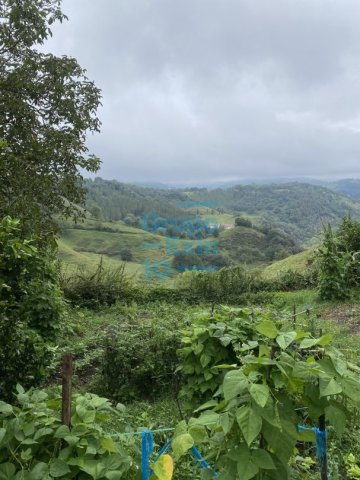 Foto 71 de Zestoa - Ibañarrieta