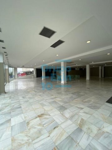 Foto 10 de 