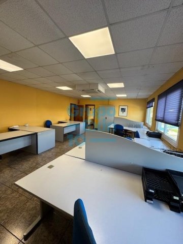 Foto 26 de Muy bien comunicada. Polígono Bidebitarte. Astigarraga.