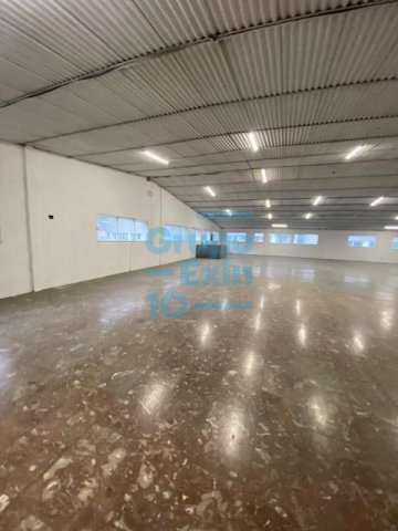 Foto 21 de Cerca de la autovia del urumea Foto 21 de Cerca de la autovia del urumea