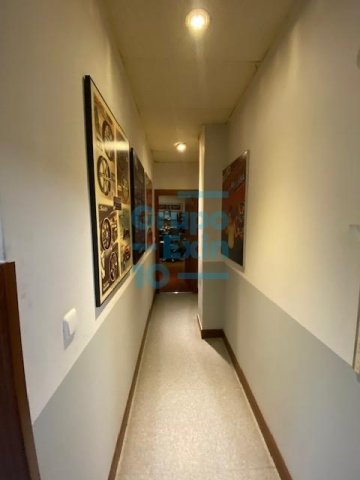 Foto 7 de 
