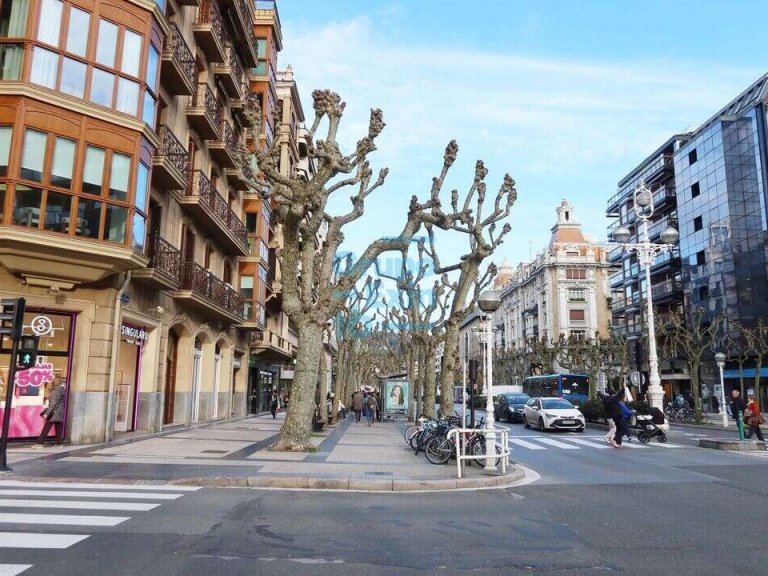 Oficina en la Avda. de la Libertad en entreplanta orientado a patio de manzana.